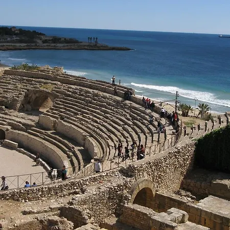 Tarracoliva Forum